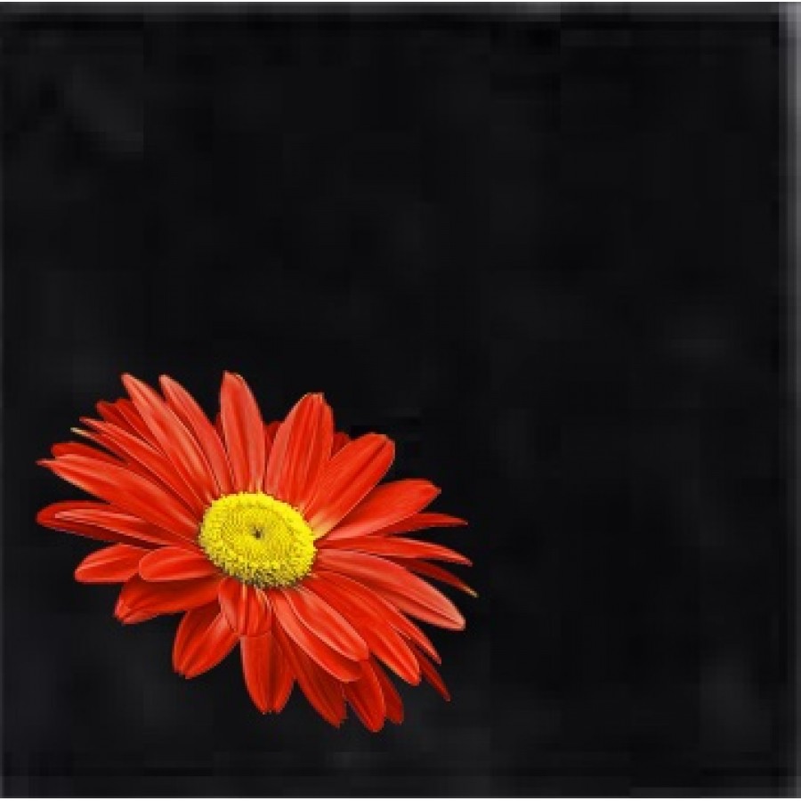 NIGELLA, HANDMADE, BLACK (15X15 cm) (6''X6'') (43pcs/m2) (4pcs/pi2)